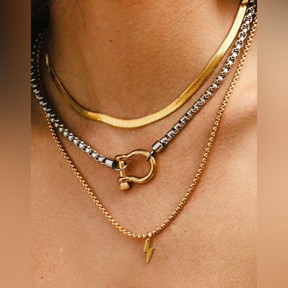 Anthropologie Gold Chain Necklace with Silver Clasp - Picture 2 of 5